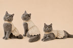 Mini Polka Cat Dress