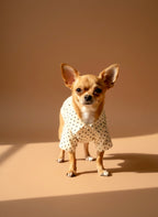 Pet Polka Shirt
