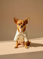 Pet Polka Shirt