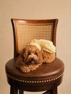 Pet Polka Dress with Bow