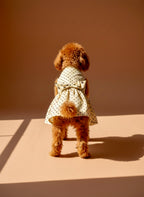 Pet Polka Dress with Bow
