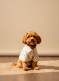 Pet Polka Shirt