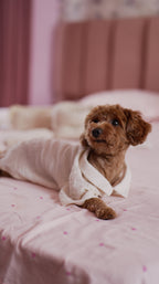 Milk Froth Pet Shirt - Muslin Cotton