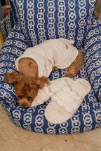 Milk Froth Pet Shirt - Muslin Cotton