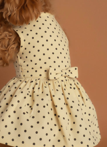Polka Snug Dress with belt