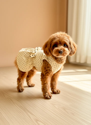 Polka Snug Dress with belt
